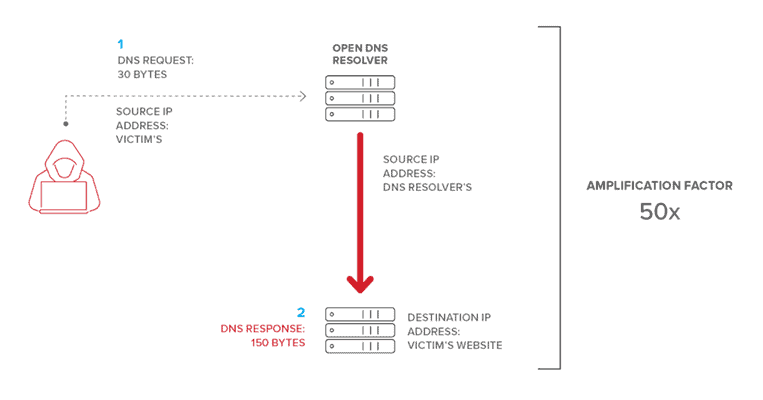 dns amplification attack