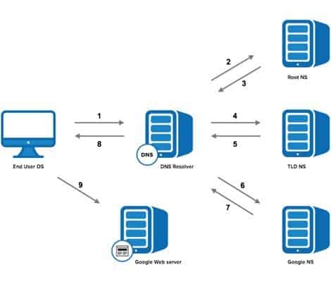 Dns search что это