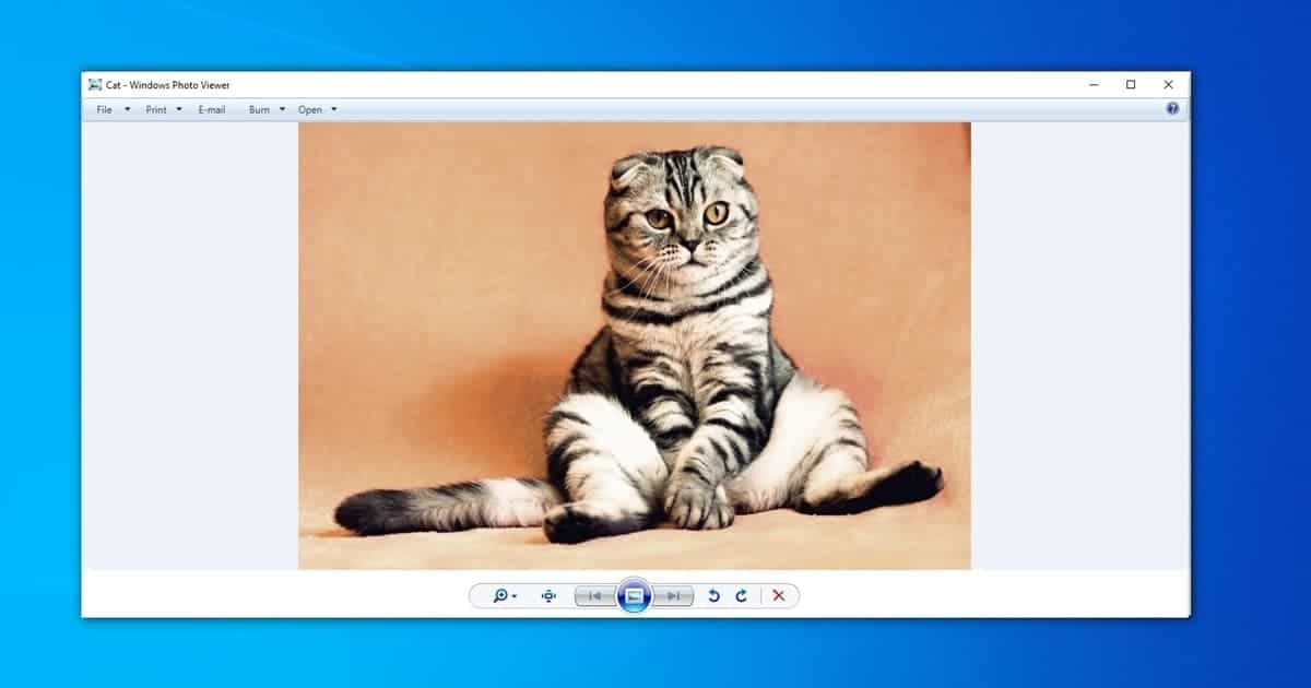 windows photo viewer windows 7 free download