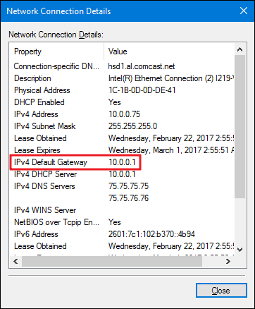 Windows Network Connection Details