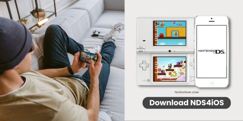 Download NDS4iOS – Nintendo DS Emulator for iPad and iOS