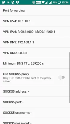 Netguard DNS Settings