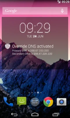 Override DNS app